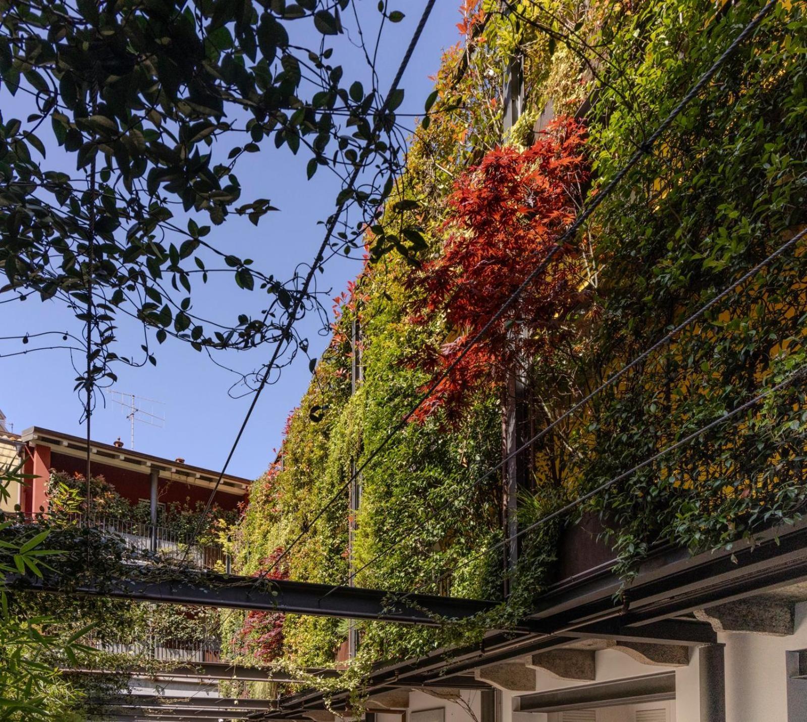 Residence Casa Coppa Appartamento Flox Omegna Bagian luar foto